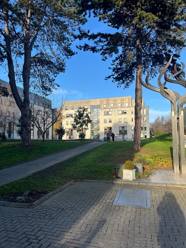 MARINO INSTITUTE OF EDUCATION  - DUBLINO